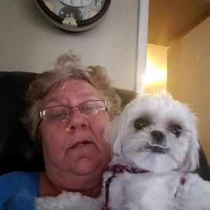 Meet your Posher, Sue